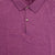 CPayton Classic Polo Shirt in Royal Purple
